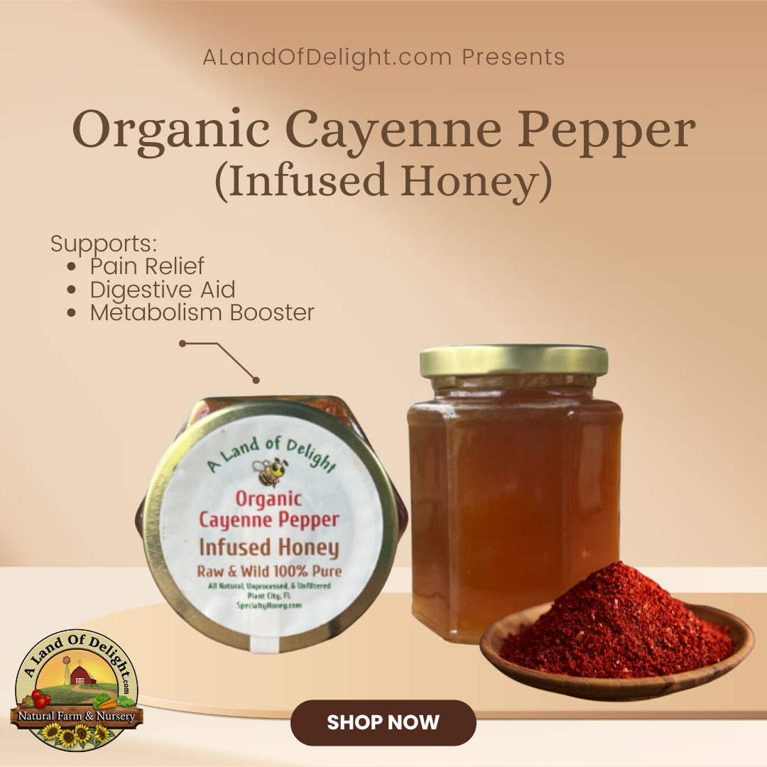 Specialty Gourmet Honey: Organic Cayenne Infused Raw Honey - 12oz Jar