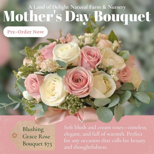 Blushing Grace Rose Bouquet (Local Pick-Up Only)