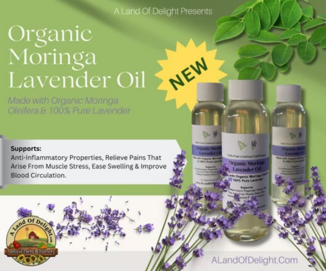 Organic Moringa Lavender Oil