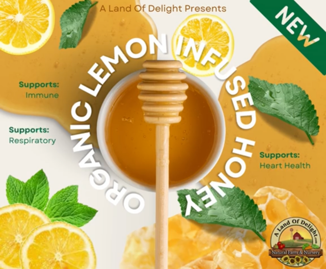 Specialty Gourmet Honey: Organic Lemon Infused Raw Honey - 12oz Jar