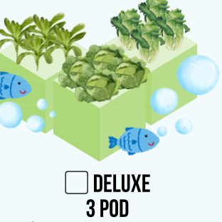 3 POD AQUAPONIC