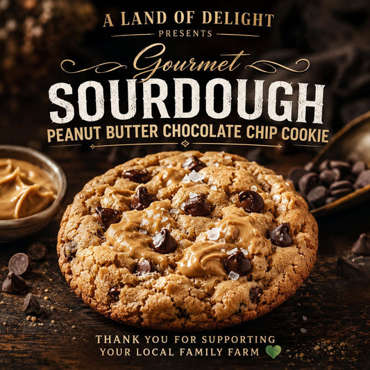 Gourmet Sourdough Peanut Butter Choco Chip Cookie