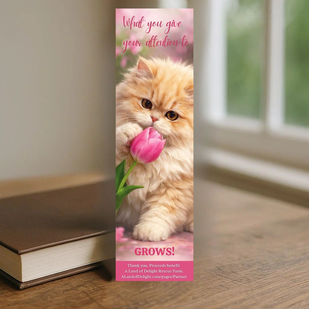 What You Give Your Attention to GROWS! Bookmark