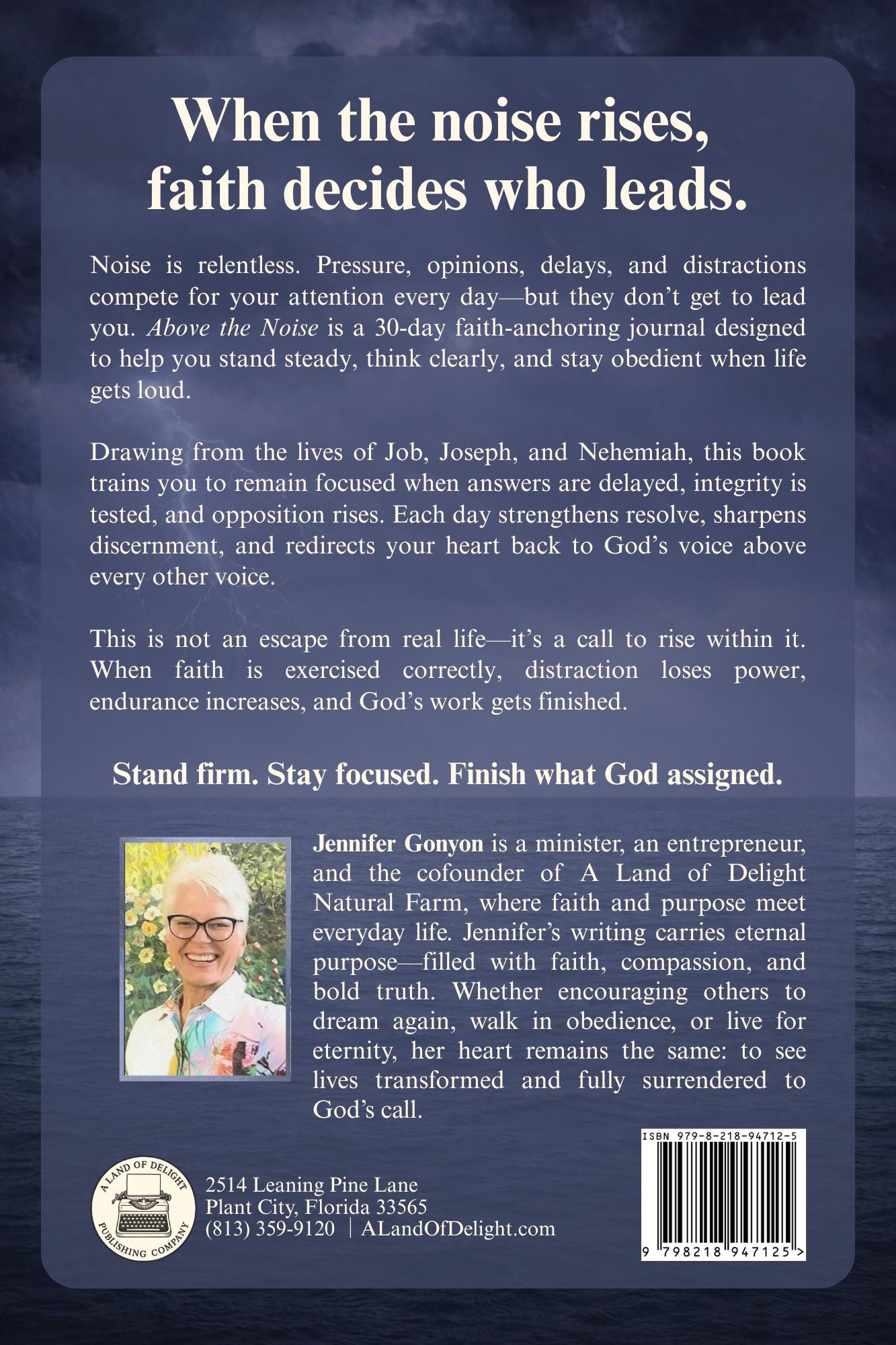 Above the Noise (Paperback)