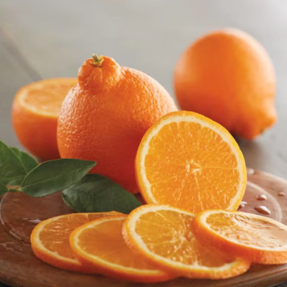 Tangerine Honey Bell