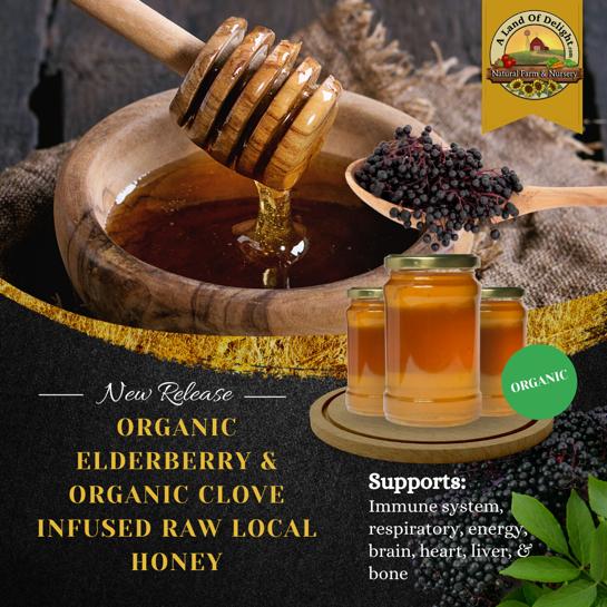 Specialty Gourmet Honey: Organic Elderberry & Organic Clove Infused Raw Honey - 12oz Jar