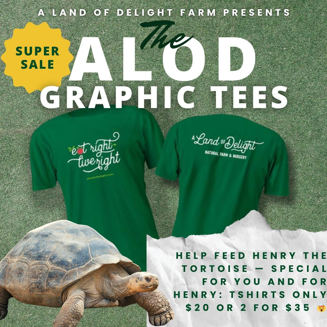 The ALOD Graphic Tee T-Shirt
