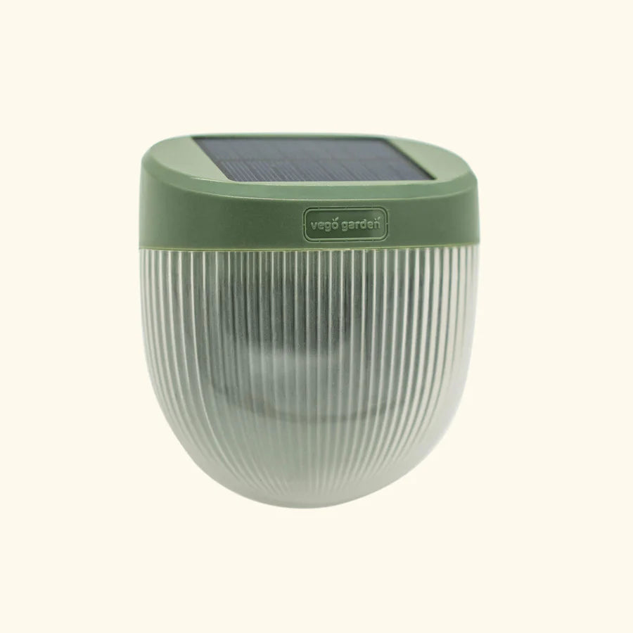 Solar Garden Light