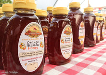 Load image into Gallery viewer, Raw Local Florida Orange Blossom Honey 1lb and 2lb bottles in a row
