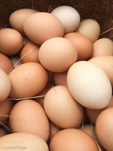 Pasture Raised Eggs: One Dozen or One Flat (Non-GMO fed) 