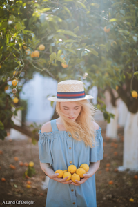 Girl Holding Meyer lemons in sunshine under full grown Meyer Lemon Tree