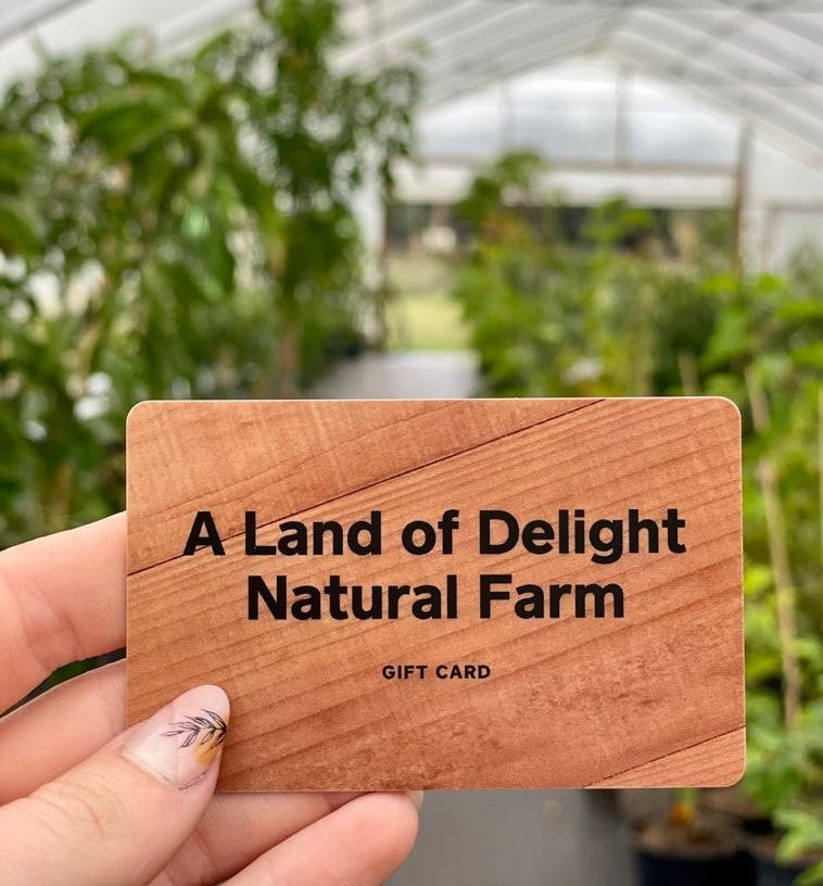 Female holding Woodgrain Land of Delight Natural Farm Gift Card  in front of greenhouse