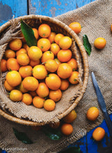 Load image into Gallery viewer, Bowl of Kumquats on Burlap Runner and Blue table

