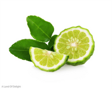 Load image into Gallery viewer, Kaffir/Makrut Lime Slices
