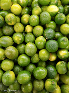 Pile of Key Limes