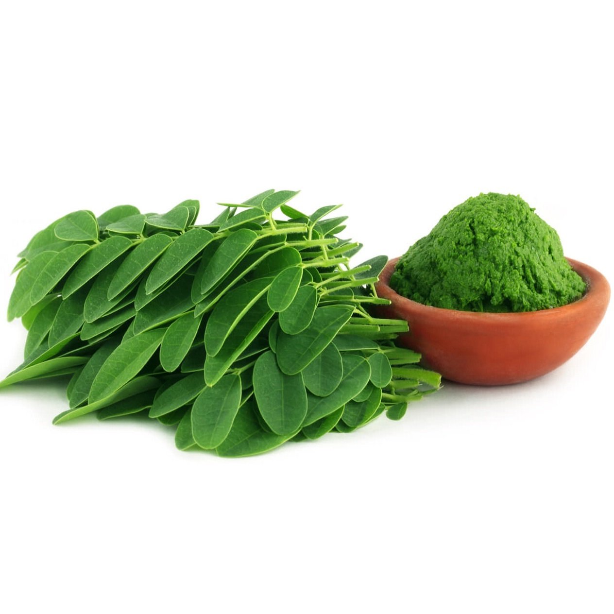 Fresh Moringa Leaves next to Bowl of Moringa Powder