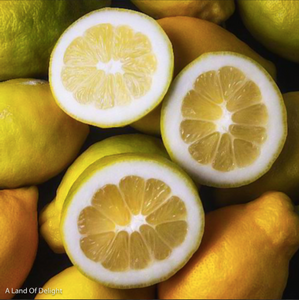 Ponderosa (Giant) Lemon Slices