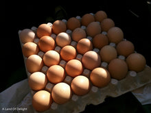 Load image into Gallery viewer, Carton of Pasture Raised Eggs: One Dozen or One Flat (Non-GMO fed) LOCAL PICK UP ONLY
