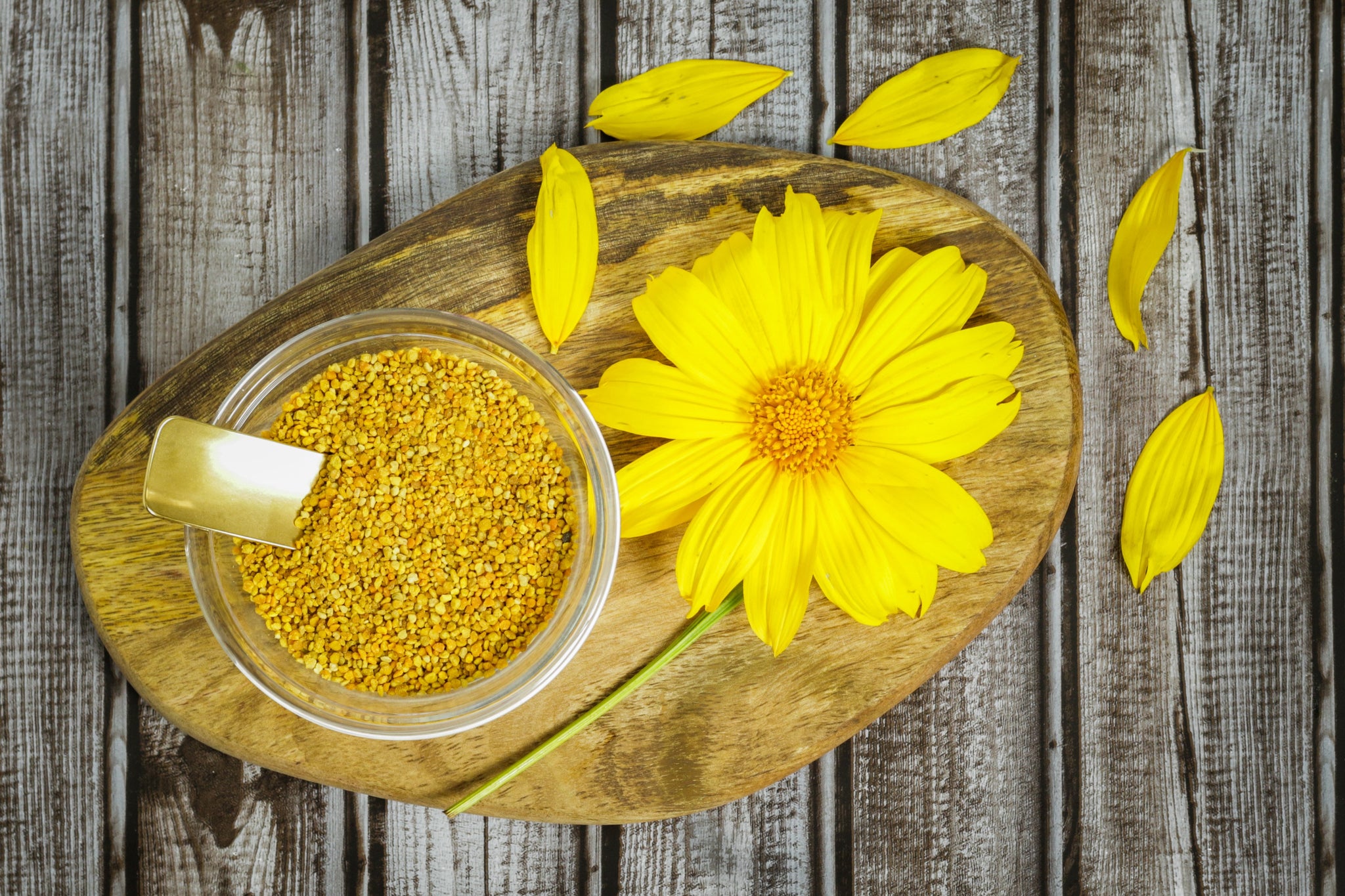 Pollen in bowl on cutting board with wildflower beside